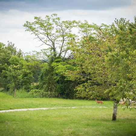 ホテル Domaine De L'ecorcerie Fontaine-le-Comte
